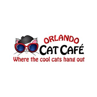 Orlando Cat Cafe